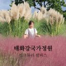 니오라 자연주의 건강쉼터 | 경남 울산 태화강국가정원 핑크뮬리 명소 팜파스 맨발황토길 울산건강박람회 흥둥이직관