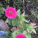 먼당농장 이미지