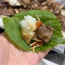 너른터갈비 | 나주 갈비 맛집 | 가족 외식으로 다녀온 남평 너른터갈비 솔직 후기