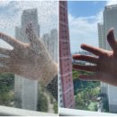 24시도안동물메디컬센터 이미지