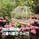 전남농업기술원 차산업 연구소 | 서울식물원 낭만수국전 온실 실시간 개화상황, 포토존 추천, 주차장까지 총정리