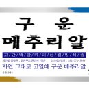 국내최초! 구운 메추리알! 28개 한판 1,400원 신제품출시! 이미지