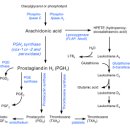 원당경희한의원 이미지