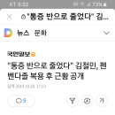 개 구충약의 효과 ? 이미지