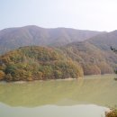 참봉목장 이미지