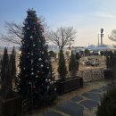 3002 | 명지브런치까페 포레스트3002 내돈내산 방문후기