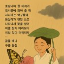 나비의꿈-호접지몽 이미지