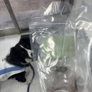 [강아지 옷] 러프웨어 스왐프 쿨러 쿨링베스트