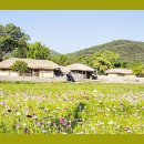 약초와산이야기 - 홍천군 | 약초와산이야기