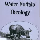 물소 신학(Water Buffalo Theology) 이미지