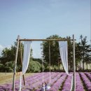 승산농장 이미지