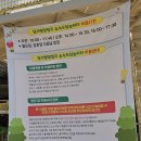 ​대구 아이와 가볼만한곳 달서별빛캠프 숲속모험놀이터 준비물 주차 화장실