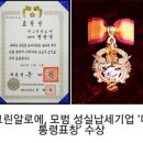 그린본 이미지