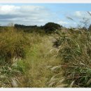 포항상생숲길 이미지