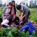 진흥농장2 이미지