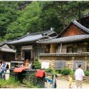 원효정사 이미지