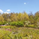 푸른수목원 이미지