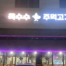 옥수수주먹고기 이미지