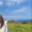 록록타르트