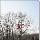 민속촌 Daum카페