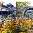 싱여동럭셔리여행사 Daum카페