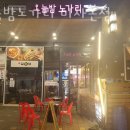 오늘밤 노가리 | 하남 망월동 맥주 오늘밤노가리 미사본점 업체 정보 후기
