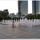 평촌중앙공원 Daum카페