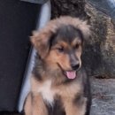 완월동225 이미지