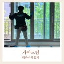자바드림