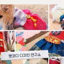 펫코디디자인연구소