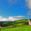 하늘목장 이미지
