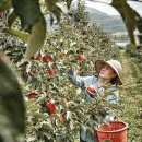 양성모농장 이미지