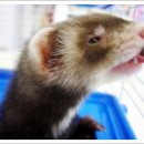 구서동물병원 이미지