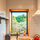 빈도롱이가 이미지