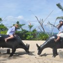 [보라카이자유여행/드보라]8월30일 드보라 빈과 함께한 보라카이 라울렛섬 투어 이미지
