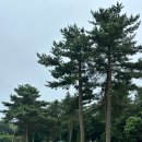 여행이행복한사람들 - 화성시 발안공단로 86 | 제주도 서귀포 여행코스 추천/오설록, 여미지식물원 내돈내산 후기