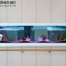구립자연과아이어린이집