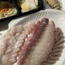파랑 | 강릉 횟집 배달 내돈내산 솔직 비교 (파랑회수산, 포남수산)