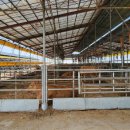 논산목장 이미지