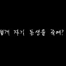 돼지의꿈 이미지
