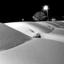 주정차단속-3 이미지