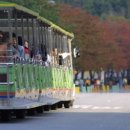 효소이야기 - 북구 시랑로61번길 8 | 효소이야기