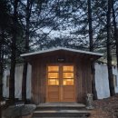 힐리언스 | 디지털 디톡스 제대로! 홍천 힐리언스 선마을 숲속동 후기!!