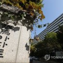 니맘대로하세요 이미지