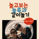 놀고보는놀룩