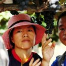 잉꼬농원 이미지