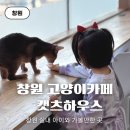 캣츠하우스 | 창원 실내 아이와 가볼만한 곳 고양이카페 캣츠하우스