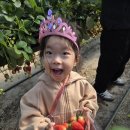 꼬마천사어린이집 이미지