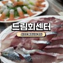 올레요 회센터 | [올레시장횟집]드림회센터 솔직후기