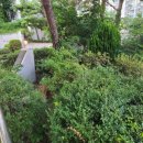 약우물터 이미지